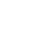 Pistola/Revolver